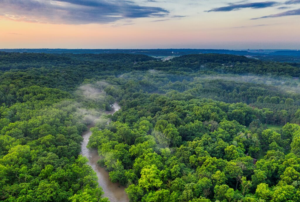 A floresta Amazônica - O coração da Terra