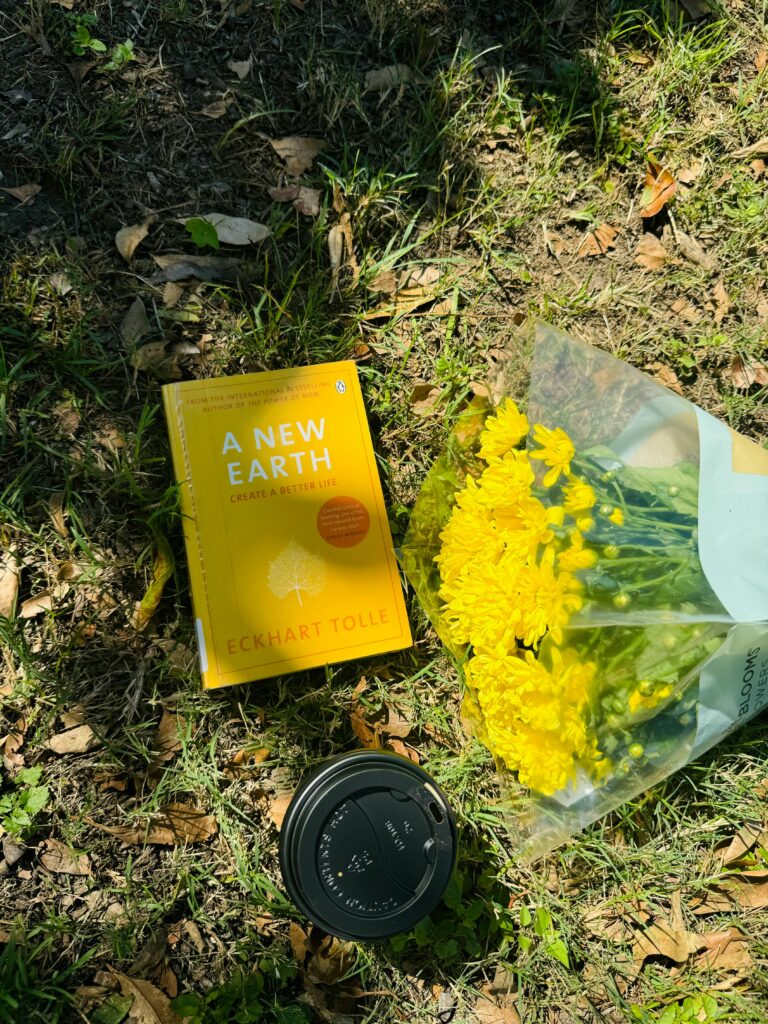 Capa do livro A New Earth